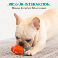 🐶Bissfester Ball für Hunde🐕