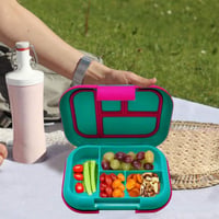 Lunch & Snack Box Bundle for Kids
