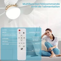 Ventilateur de plafond LED 2 en 1 avec télécommande, base E27E26/B22