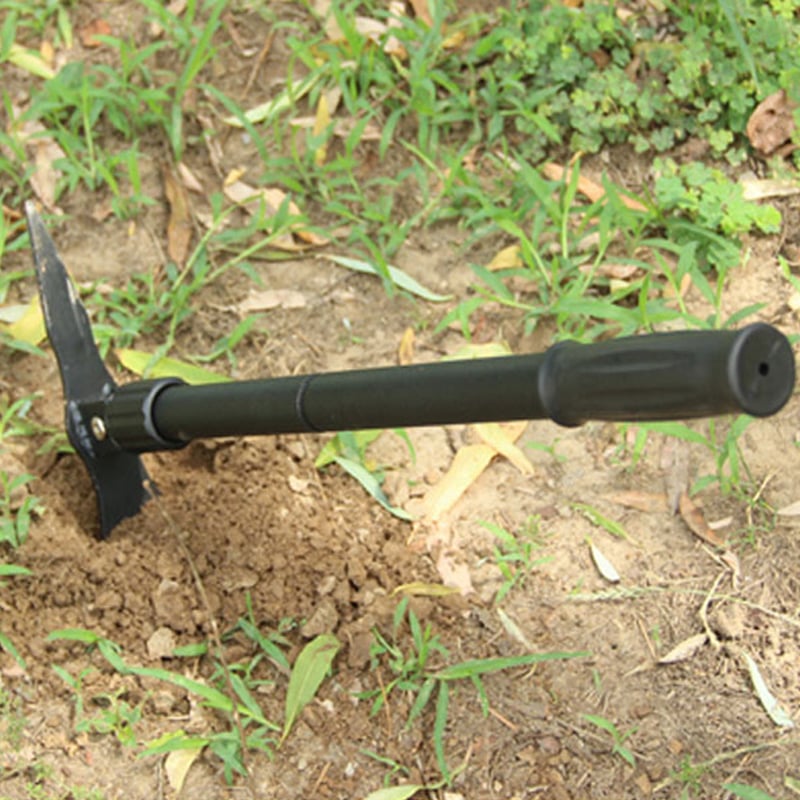 88ee96441e1c89c07faf0454ebdac639