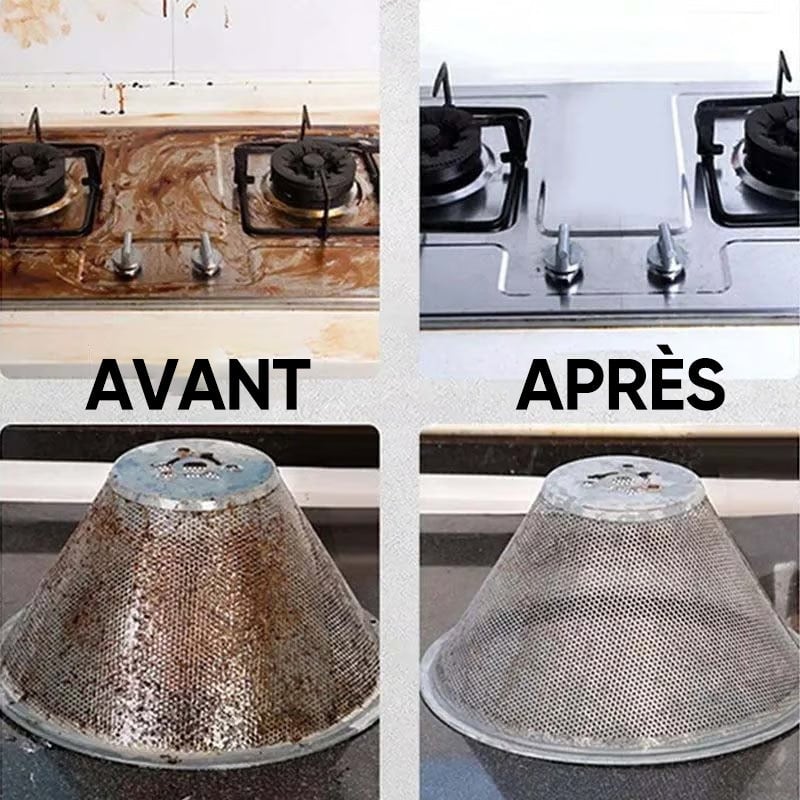 Nettoyeur vapeur portatif à haute température sous pression 2500W