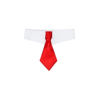 Doggy gentleman bow tie