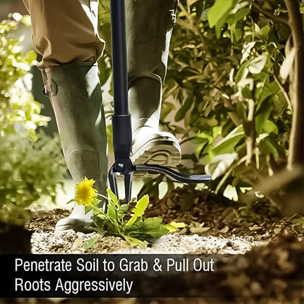 1_7_5ea8d394-a937-4c18-9006-ca19a3d3bbd7