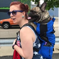 Rucksack für Haustiere Tragen