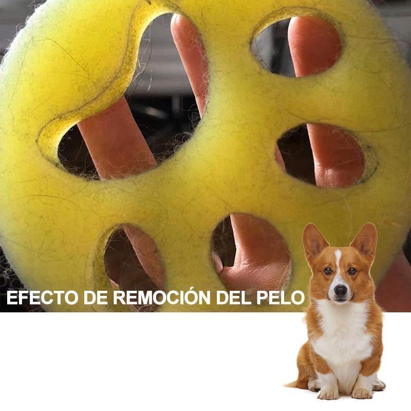 5_8fce85d6-8173-4055-9afa-301bd99e4cd8