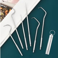 Juego de Palillos de Dientes de Acero Inoxidable