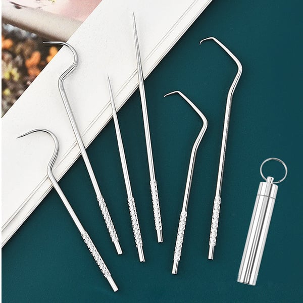 Juego de Palillos de Dientes de Acero Inoxidable