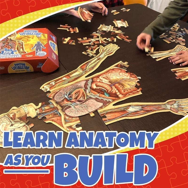 Anatomie-Puzzle für Kinder