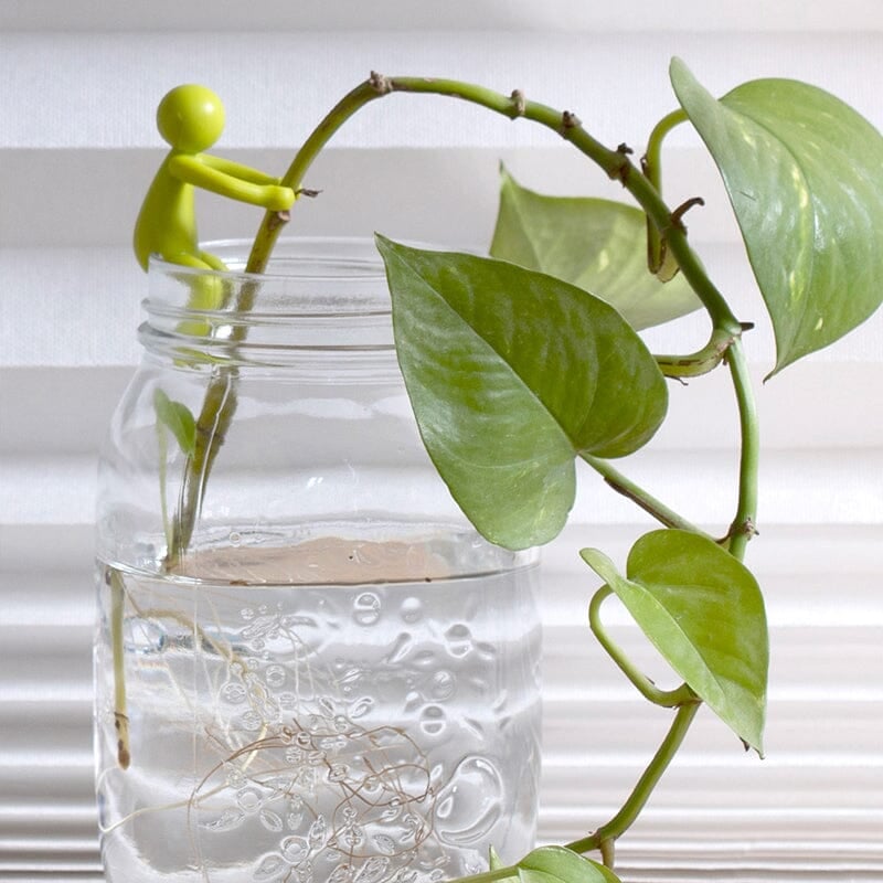 SALE - Plant Propagation Buddy
