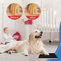Dog Scratch Wooden Pad for Nails with Treat Drawer