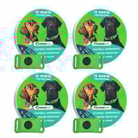 12 Months Flea and Tick Free