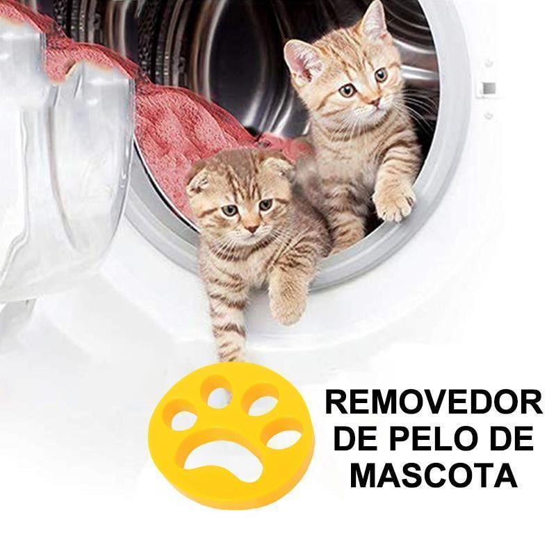 4_ed896368-d5c6-43a7-a7d4-49596bf36f90