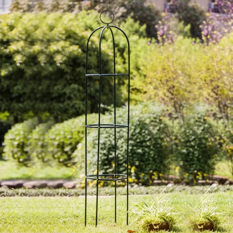 Garden Trellis for Climbing Plants