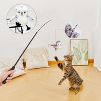 db61a4c9-0877-4fa5-5d2f-fb6c2156d700