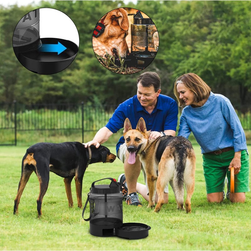 fm2_b4c920bc-6148-4d11-a993-d1059e0fb617