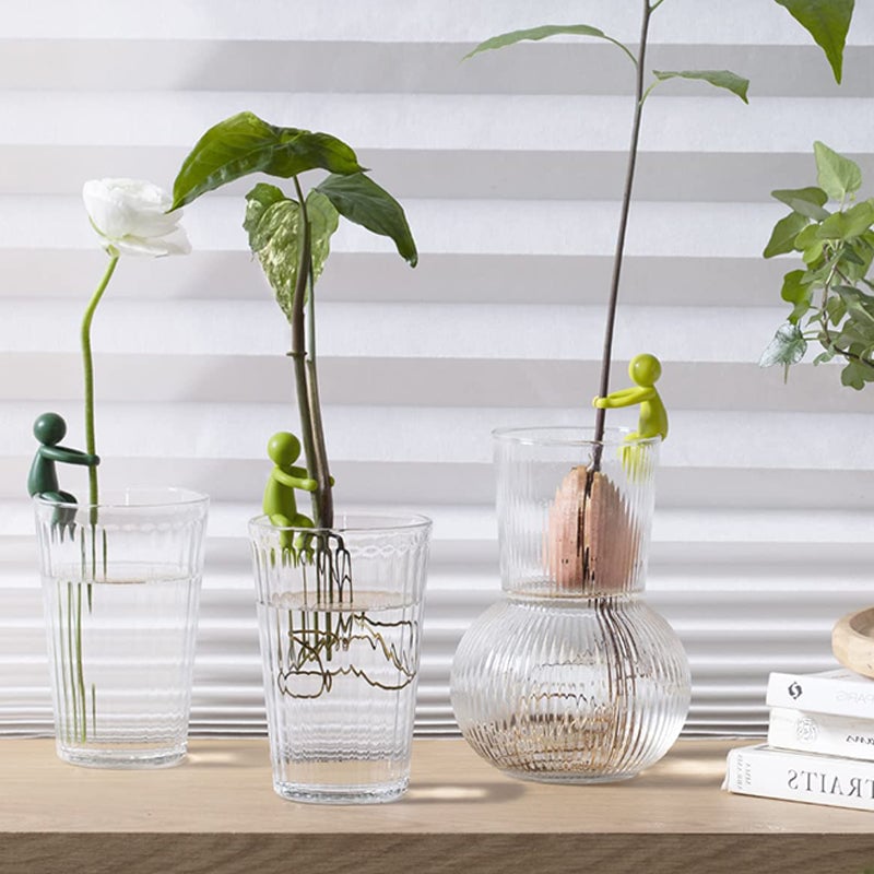 SALE - Plant Propagation Buddy