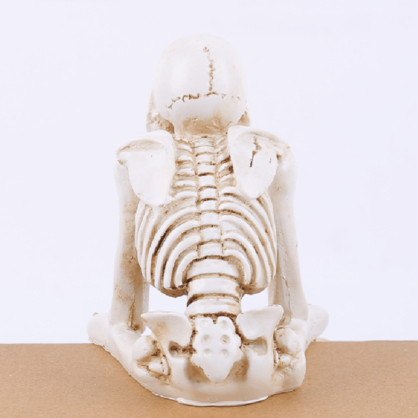 Creative Skeleton Skull Decor