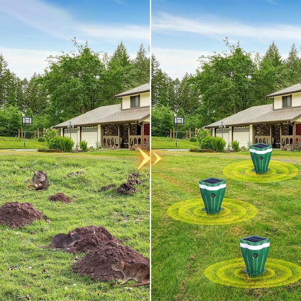 6_b167f649-aa36-4281-aa02-ac5982ac2c7d