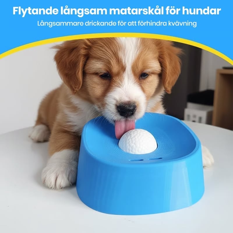 Långsammatande Flytande Hundskålar