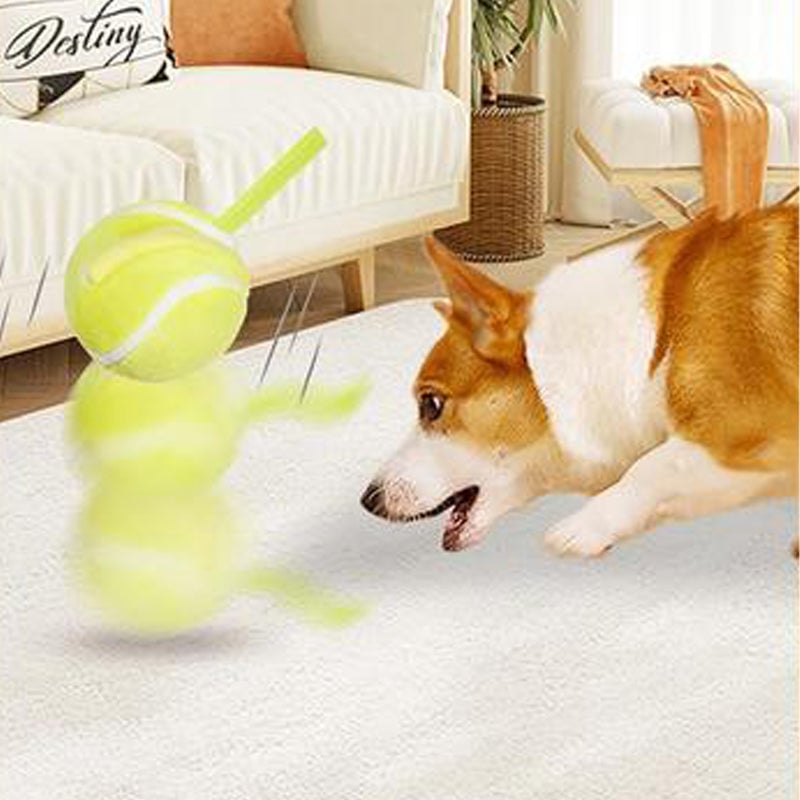 Interactive Dog Toys Dog Ball