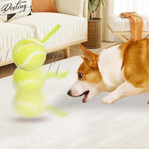 Interactive Dog Toys Dog Ball