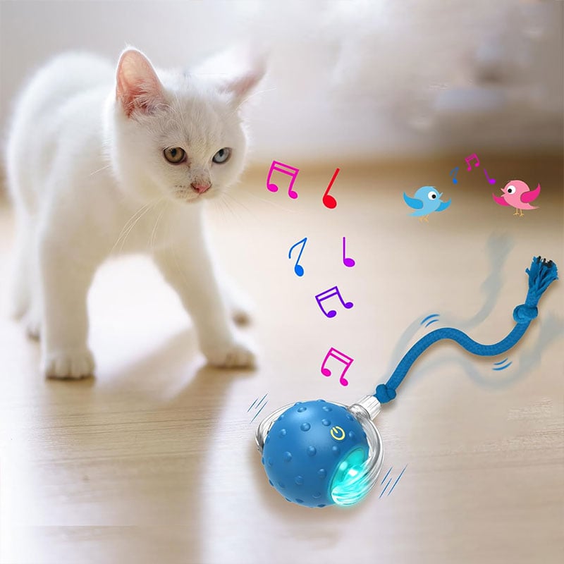 10_2db37956-bdeb-4801-a47a-6f8561d3fc4d