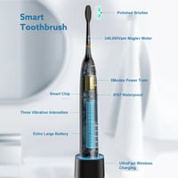 Adult Sonic Electric Toothbrush 