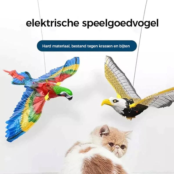 3_05876cb5-4329-41eb-9203-2a4f103de98d