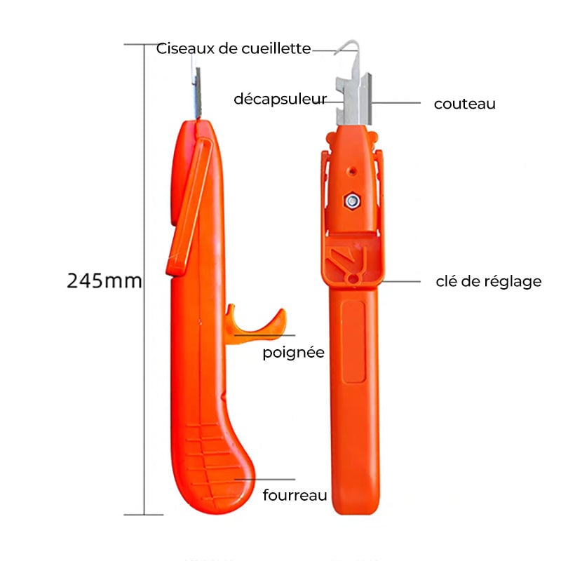 Outils efficaces de collecte de poivre