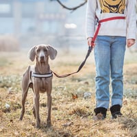 5_988764be-5058-496c-bc0c-3bc689e48e6c