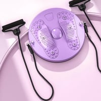 Magnetic Waist Twisting Disc with Resistance Bands