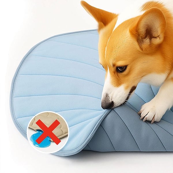 3_1bba11ed-97b3-4709-9c82-da2c8e0eceb4