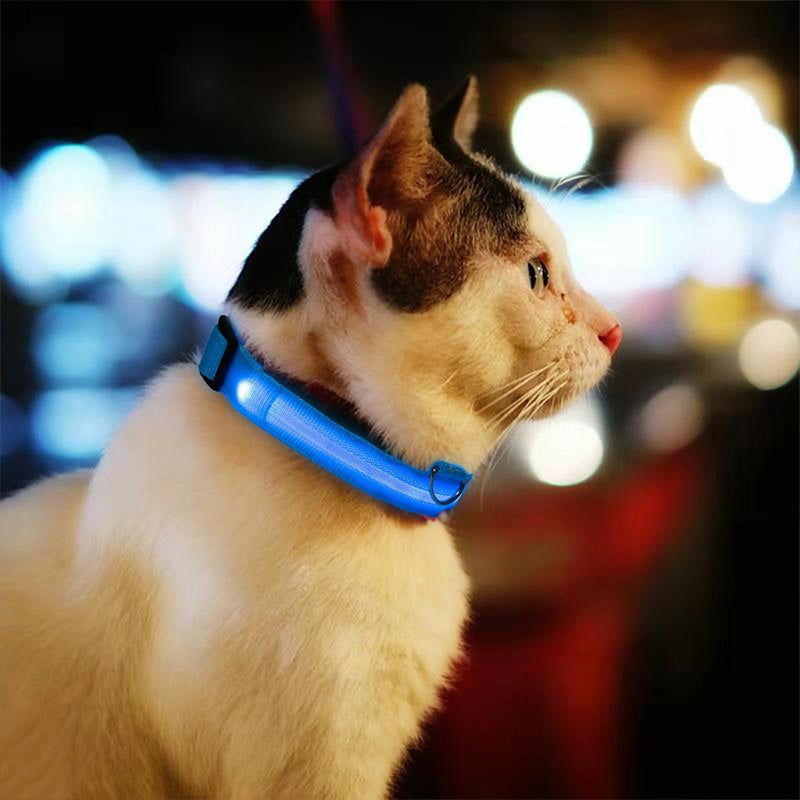 LED-Halsband