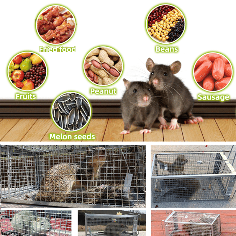 b67c424d-0a16-4c51-8552-a1310660ae00_7f41d5df-a0fa-4c3b-83f3-60d2699d1583