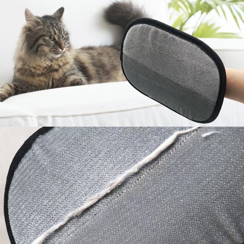 Gant d'épilation pour animaux de compagnie