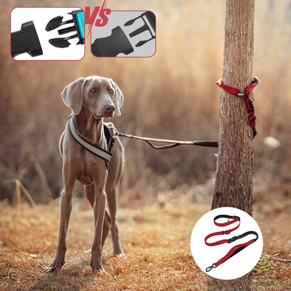 2_8556f8d0-87b0-4460-bf43-c9c731b936e2