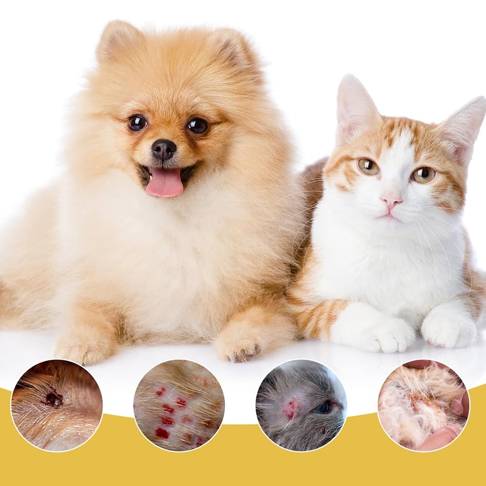 Pet with skin irritation