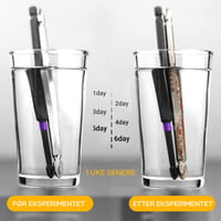 e02f57fe-a9d3-4949-94f0-5b49dba27c00