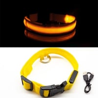 LED-Halsband