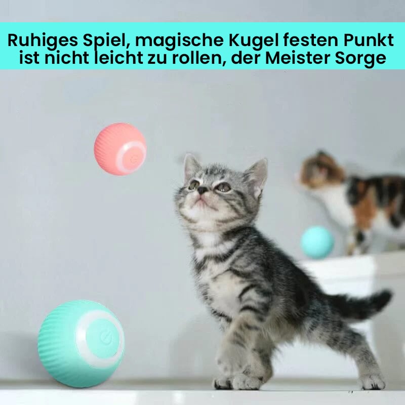 🐱Elektrisches Katzenspielzeug