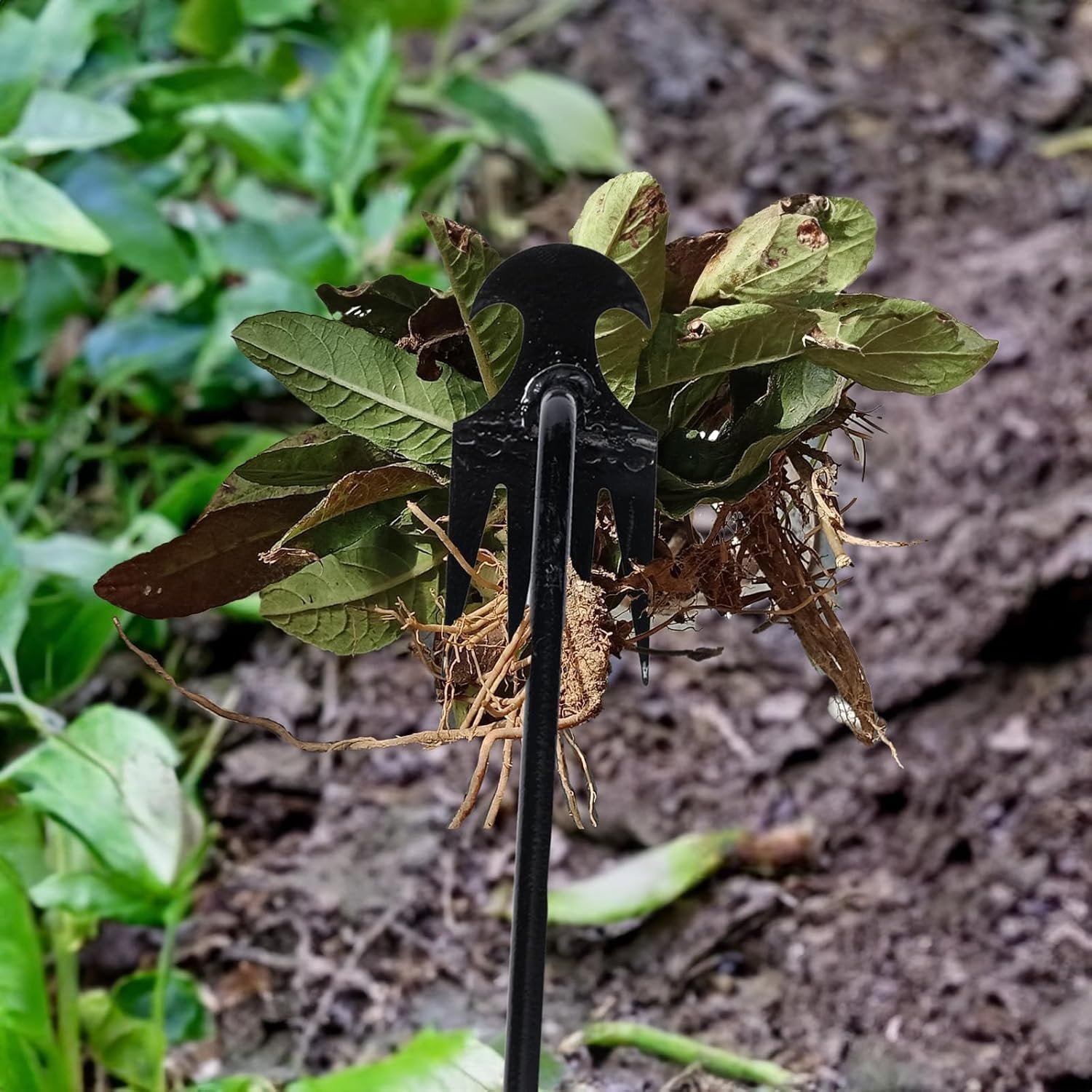 Garten-Unkrautziehwerkzeug