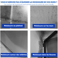 Spray Nettoyant Mural Anti-Moisissure à Action Rapide