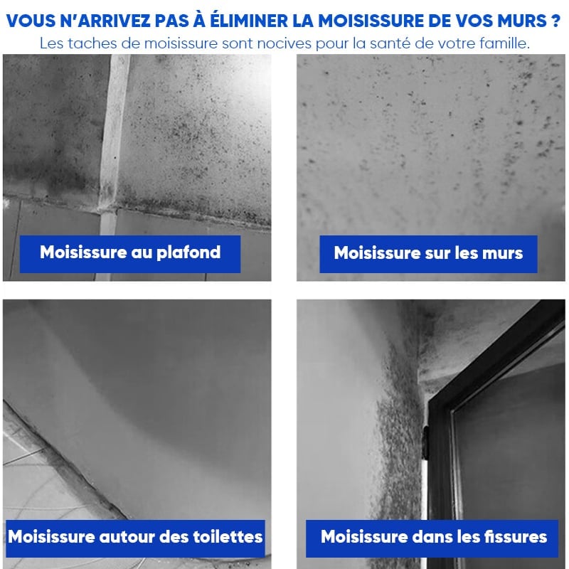 Spray Nettoyant Mural Anti-Moisissure à Action Rapide