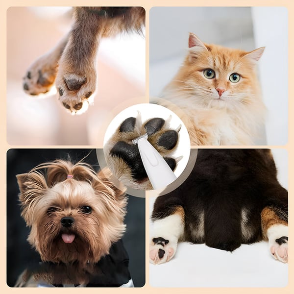 3_c49db320-8f3e-4ee7-a213-ef2b1a2b8e6c