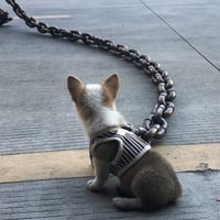 Lustige große Hundekette