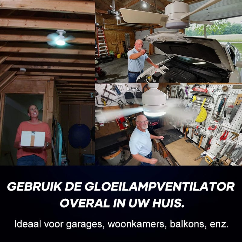 Ceiling Fans with Lights