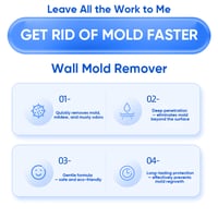 Fast Acting Anti-Mold Wall Cleaner Spray