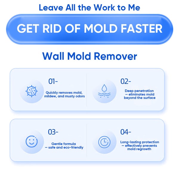 Fast Acting Anti-Mold Wall Cleaner Spray