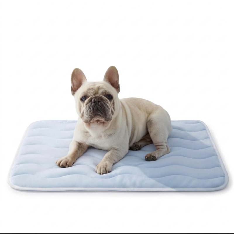 5d3c2ee2-47cd-441a-50db-e9cf85eca800