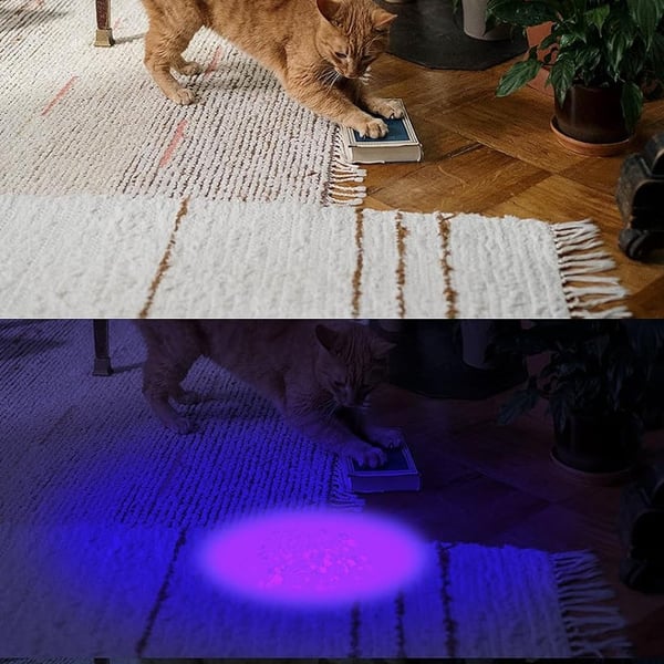 High-power Multi-functional Tracking Flashlight